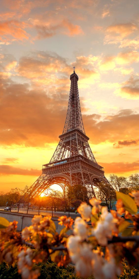 50 Best Places in Paris Everyone Needs to Visit | Trendynesia